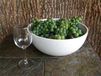 Recept för husvin från gröna druvor Hur man gör vin från gröna druvor