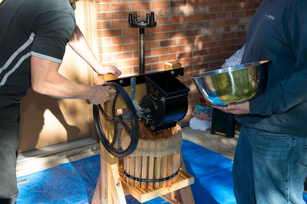 Hemlagat vin från äpplen