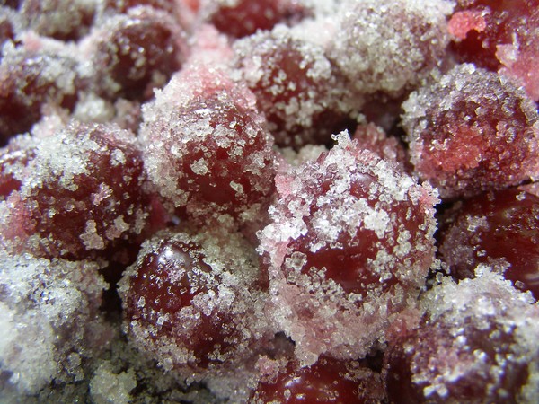 Körsbär för vintern - recept - sylt med frön och pitted, Fem minuters, sylt, gelé utan gelatin, körsbärskompot