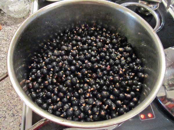 Läckra gelé från svartbär - recept