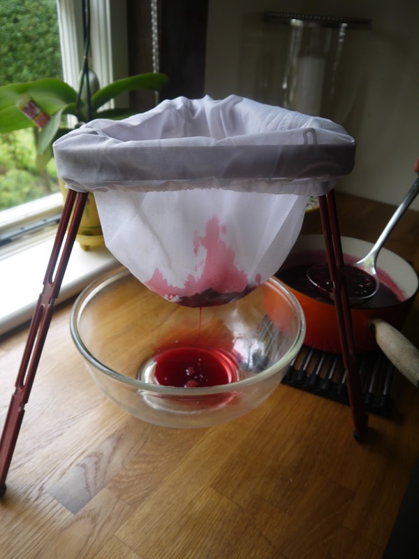 Läckra gelé från svartbär - recept