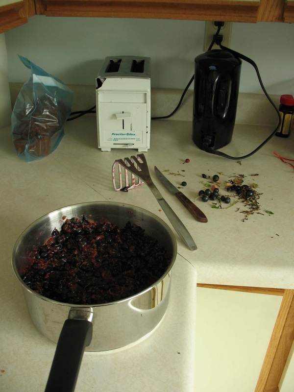 Läckra gelé från svartbär - recept