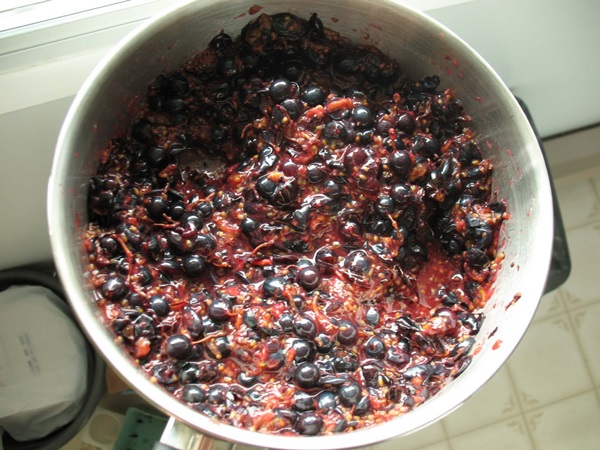 Läckra gelé från svartbär - recept