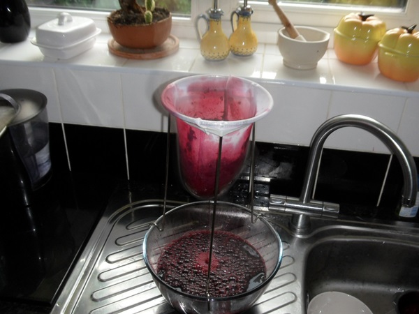 Läckra gelé från svartbär - recept