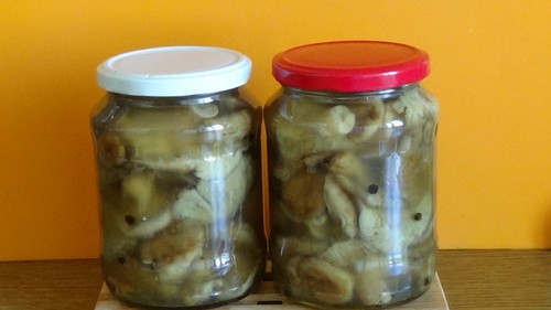 Volnushki: recept och foton