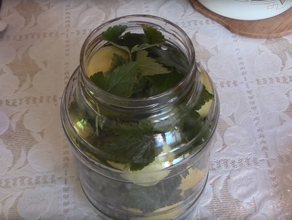 Äpplen för vintern i bankerna - räkor och recept - blötläggt och kilar, komposit, sylt, pajarkost. Hur man håller äpplen på vintern hemma