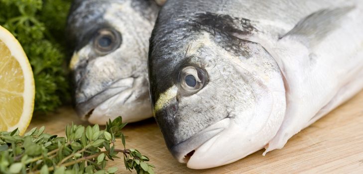 Hem konserverad fisk