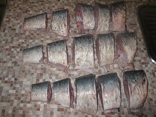 Hem konserverad fisk