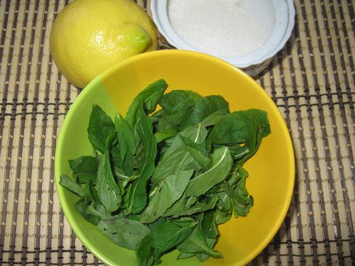 Skörd mint för vintern. Hur man torkar och fryser mint för vintern