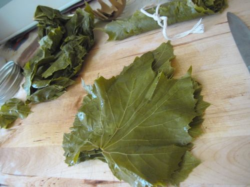Hur man plockar vinblad till dolma