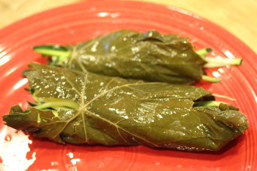 Receptet för att skörda druvblad för dolma Hur man plockar vinblad till dolma