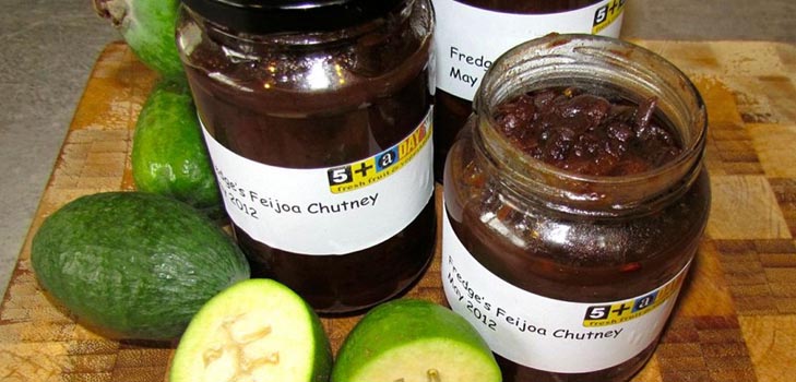 Blanks från feijoa för vintern, de bästa recepten med ett foto