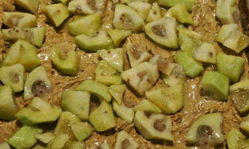Blanks från feijoa för vintern, de bästa recepten med ett foto