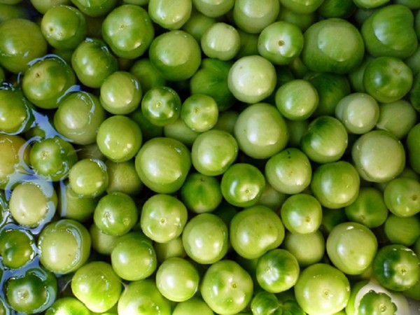 Gröna tomater, recept för vintern. Hur man lagar gröna tomater - syltad, syltad, koreansk