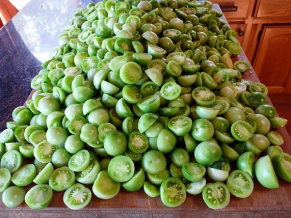 Gröna tomater, recept för vintern. Hur man lagar gröna tomater - syltad, syltad, koreansk