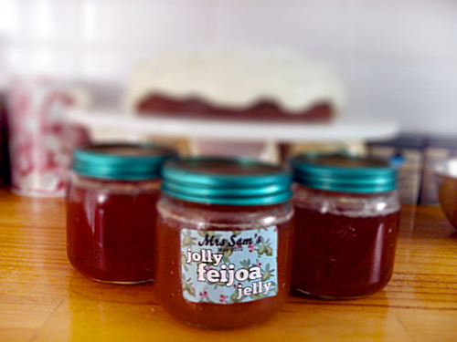 Jelly från feijoa för vintern, ett recept med ett foto