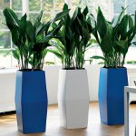 Inredning fytodesign Inredning fytodesign