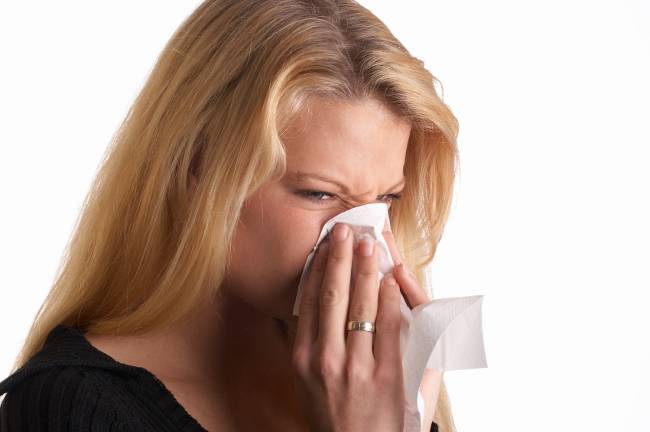 Allergi mot damm: hur man hanterar?