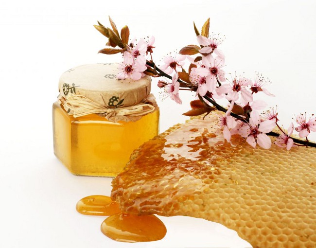 Apitherapy: behandling med bin