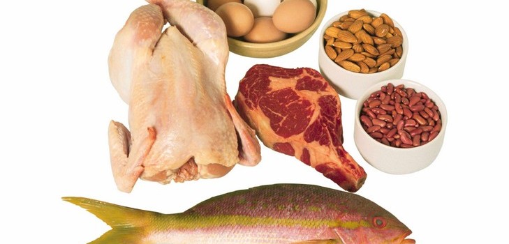 Protein diet är rätt sätt att en idealisk figur