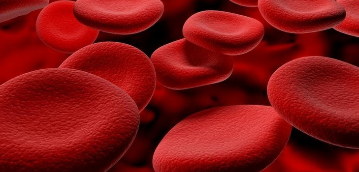 Hemoglobin under graviditet
