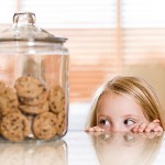 Hypoallergen diet Hypoallergen diet