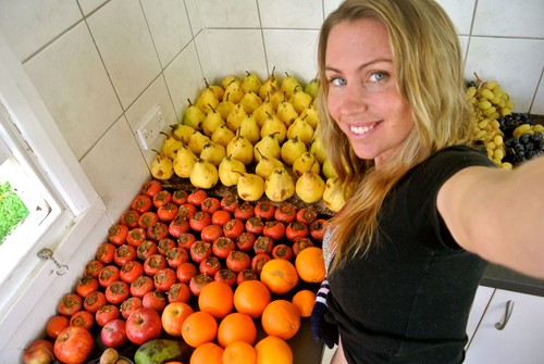 Hur man blir en vegan. 9 steg till en hälsosam kost