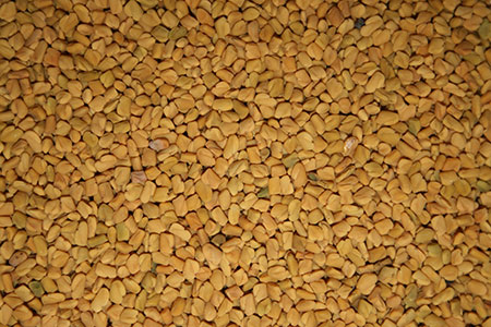 Fenugreek - vad är det? Användbara egenskaper fenugreek (med foto)