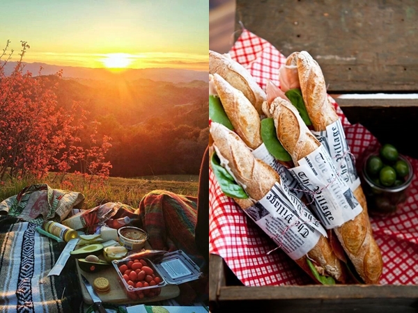 Picknick. Hur man förhindrar matförgiftning och andra hälsoproblem