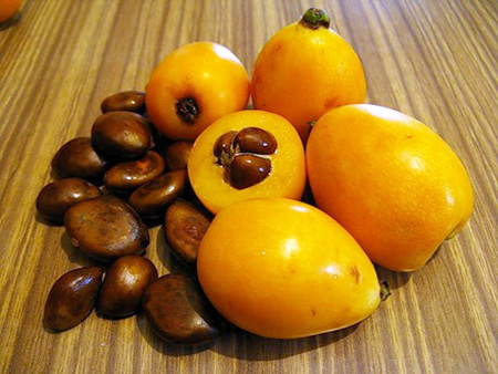 Användbara egenskaper hos medlar, applikation i medicin