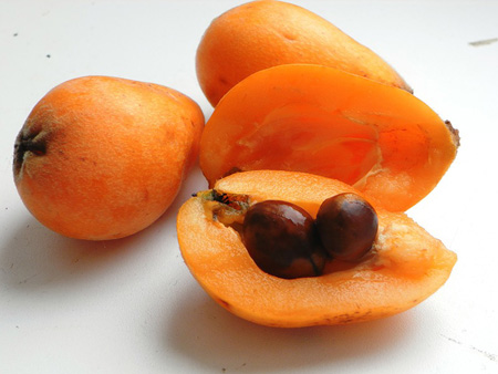 Användbara egenskaper hos medlar, applikation i medicin