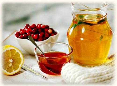 Bearberry: medicinska egenskaper, applikation, foto